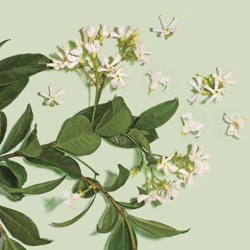 Clean Beauty Anti-Frizz Leave-In Treatment Cream Haircare Flower Fragrance Floral Hyaluronic Lactic Oil Peach Shampoo Clean Beauty Anti-Frizz Leave-In Treatment Cream Haircare Flower Fragrance Floral Hyaluronic Lactic Oil Peach Shampoo