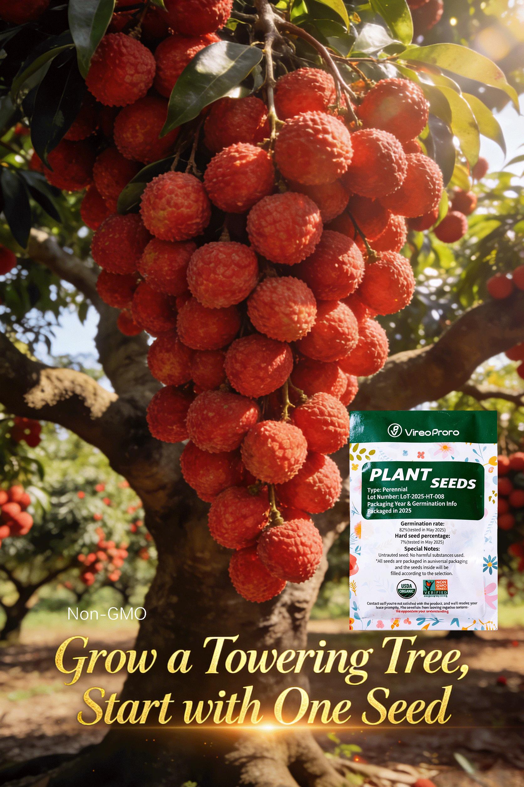 Lychee seeds, suitable for home gardening | Fruit tree seeds for indoor and outdoor planting | Suitable for beginners Lychee seeds, suitable for home gardening | Fruit tree seeds for indoor and outdoor planting | Suitable for beginners