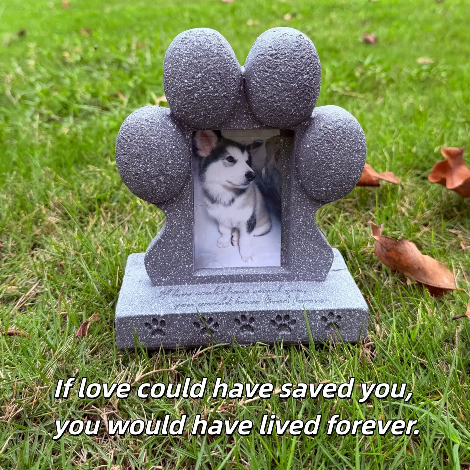 1 Pc Paw Print Dog & Cat Puppy Pet Memorial Tombstone Photo Frame | Waterproof Weather-resistant Outdoor Garden Resin Ornament | Indoor & Outdoor Pet Remembrance Display Decor