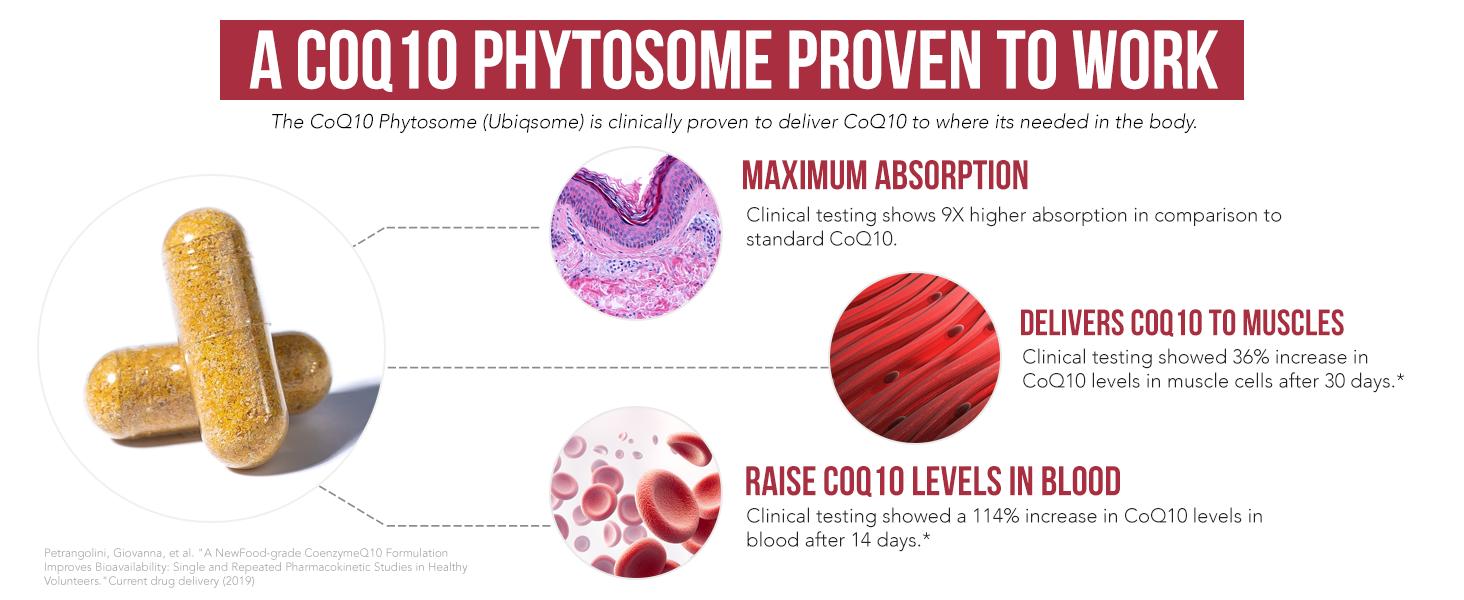 SoActive CoQ10 (250 mg)- CoQ10 Phytosome Healthcare Capsule