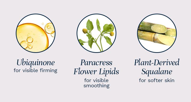 City Beauty Ultra-Firming Dry Oil – Neck & Décolletage Treatment for Crepey, Sagging Skin | Lightweight, Non-Greasy Oil with Deep Hydration for a Smoother, Tighter Look City Beauty Ultra-Firming Dry Oil – Neck & Décolletage Treatment for Crepey, Sagging Skin | Lightweight, Non-Greasy Oil with Deep Hydration for a Smoother, Tighter Look