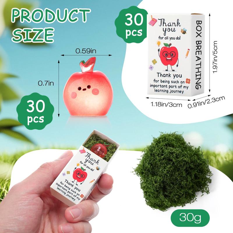 18/36 Sets Christmas Appreciation Box Glowing Tiny Figures with Matchbox Bulk Emotional Support Gnomes Snowman Turtle Appreciation Gift Christmas Stocking Christmas Team Gift for Employees Coworkers Exchange Party Supplies