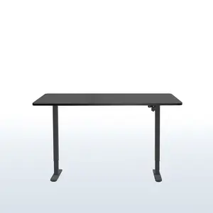 B0 Series - 60" x 24" Electric Desk with 2 Button Controller