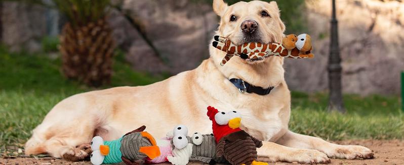 Nocciola 5 PCS Entire Barnyard Dog Toys with Squeaky Sounds, Christmas gift, Durable and Stimulating Plush Toys for Small to Large Dogs