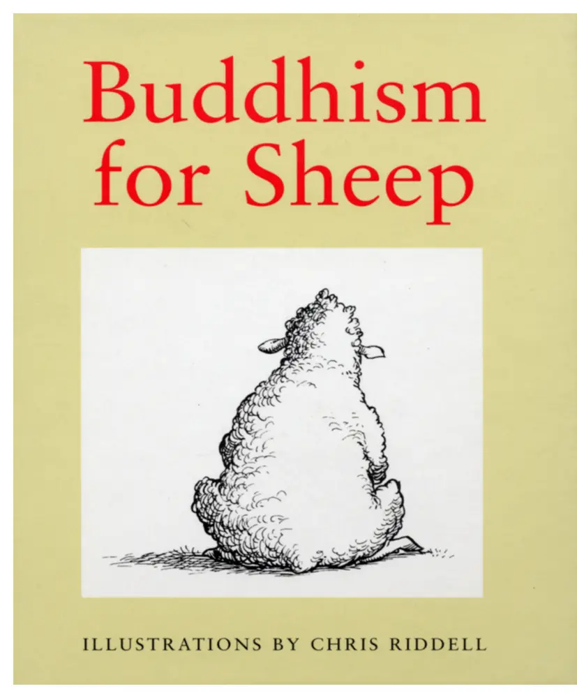 USED Book - Buddhism for Sheep by Riddell, Chris (Hardcover) - english