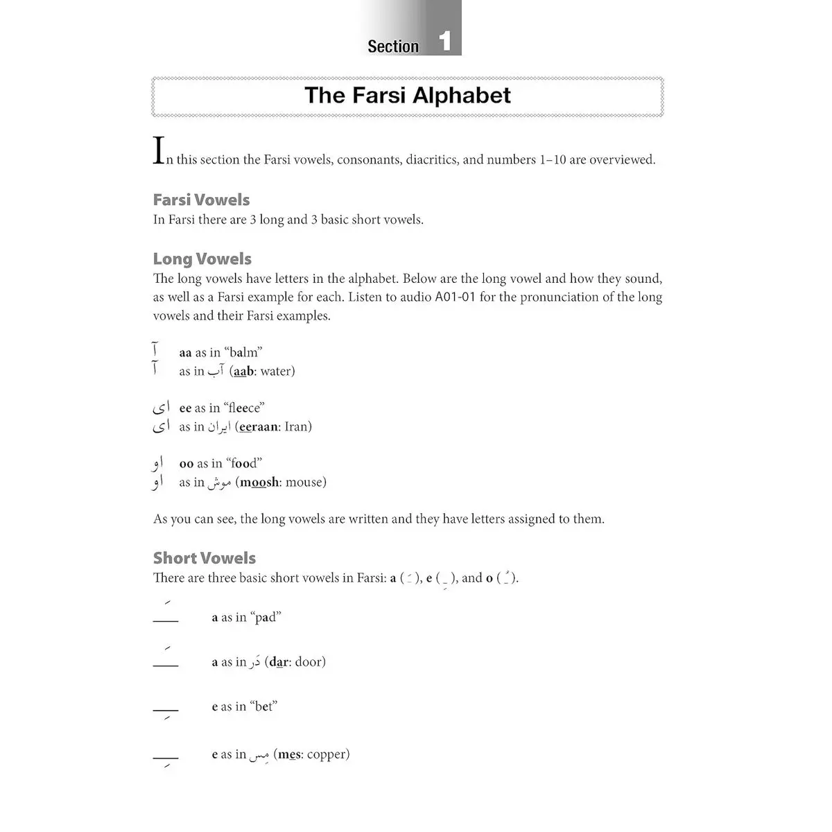 Reading & Writing Farsi (Persian): A Workbook for Self-Study: A ...