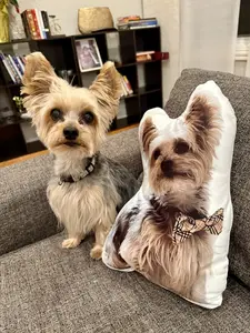 🐾 Custom Pillows with Animals