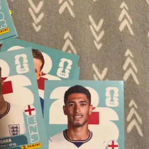 Panini FIFA World Cup 2026 International Edition Soccer Sticker Collection, 50-Pack Box - International Soccer Sticker Collectible Sports Trading Card Accessory