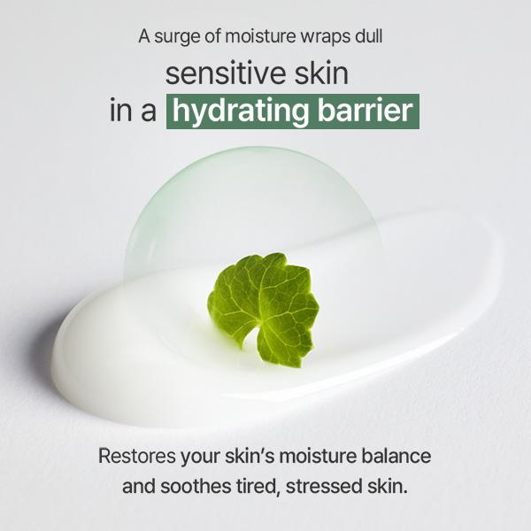 [mixsoon Official Shop] Cica Hyal Deep Soothing Cream 50ml