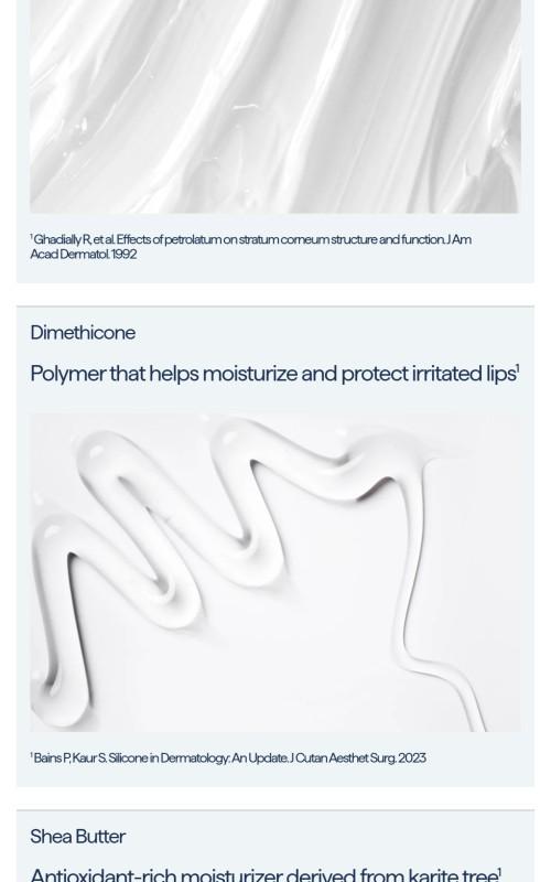 REMEDY for Dry Lips - Peptides and Shea Butter for Repairing and Plumping Lips