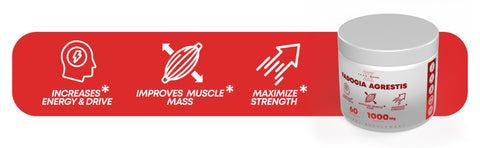 Peak Revival-X Fadogia Agrestis 1000mg – Natural Testosterone Support for Men | Muscle Growth, Strength & Energy | Vegan Capsules Peak Revival-X Fadogia Agrestis 1000mg – Natural Testosterone Support for Men | Muscle Growth, Strength & Energy | Vegan Capsules