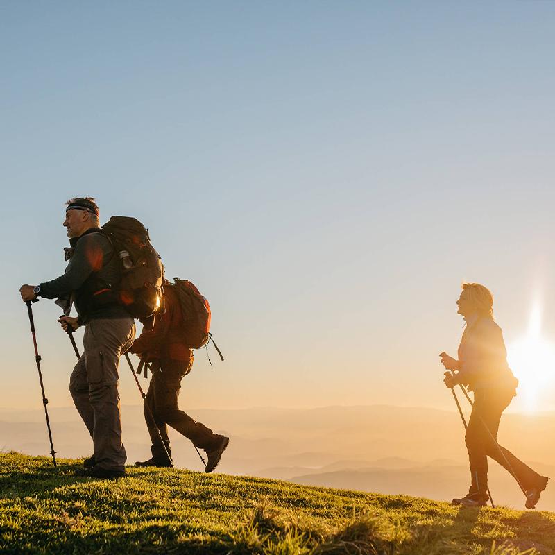 Multifunctional Trekking Pole Premium Alloy Steel Walking Poles Set Compact Foldable Design with Cushioned Handles 3-Section Telescopic Stick for Hiking & Camping