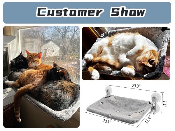 POMESEA Sunbathing Window Perch for Large Cats, Glow in The Dark Cat Window Hammock with Hook Design, Easy to Assemble, Foldable Window Seat for Cats Inside