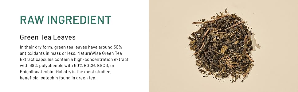 NatureWise Green Tea Extract Capsules 1000 mg - 50% EGCG & 98% Polyphenols - Extra Strength Green Tea Pills - Antioxidants for Heart Health & Energy - Vegan, Non-GMO - USA Manufactured