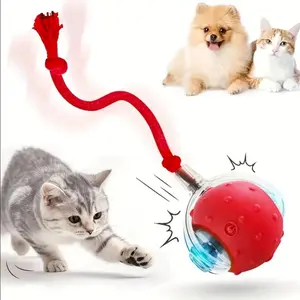 Mizusu Interactive Cat & Dog Teaser Toy with Two Additional Tails, Kitten Rolling Ball Toy, Pet Supplies, Dog & Cat Accessories Cute dog toys