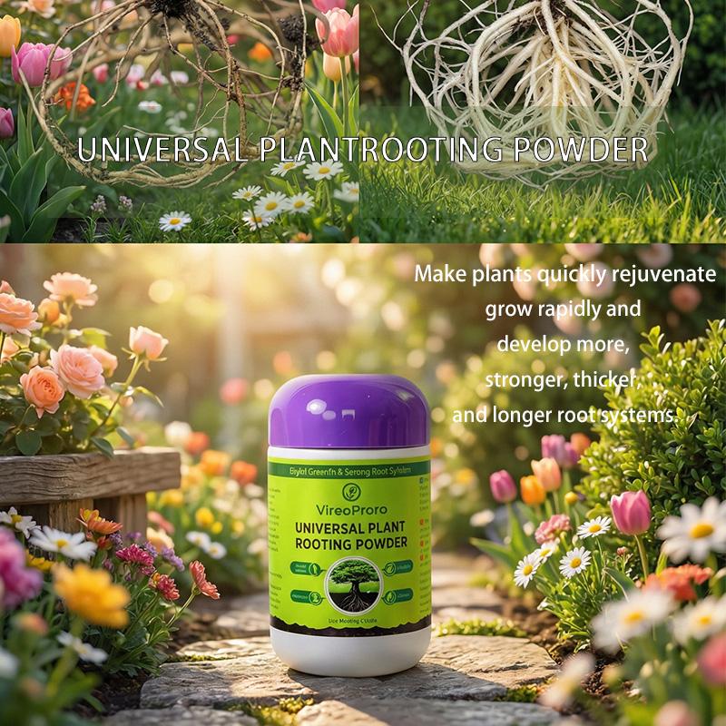 Rooting Hormone Powder – Promote Faster Root Growth for Cuttings, Plants & Seedlings – Indoor & Outdoor Gardening Rooting Hormone Powder – Promote Faster Root Growth for Cuttings, Plants & Seedlings – Indoor & Outdoor Gardening