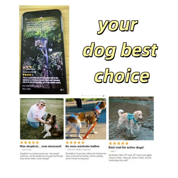 PETNANNY Tactical Dog Harness - Service Dog Harness Emotional Support Dog Vest for Medium Large Dogs, No Pull ESA Dog Vest with Hook & Loop, Working Molle Vest for Training Huntin