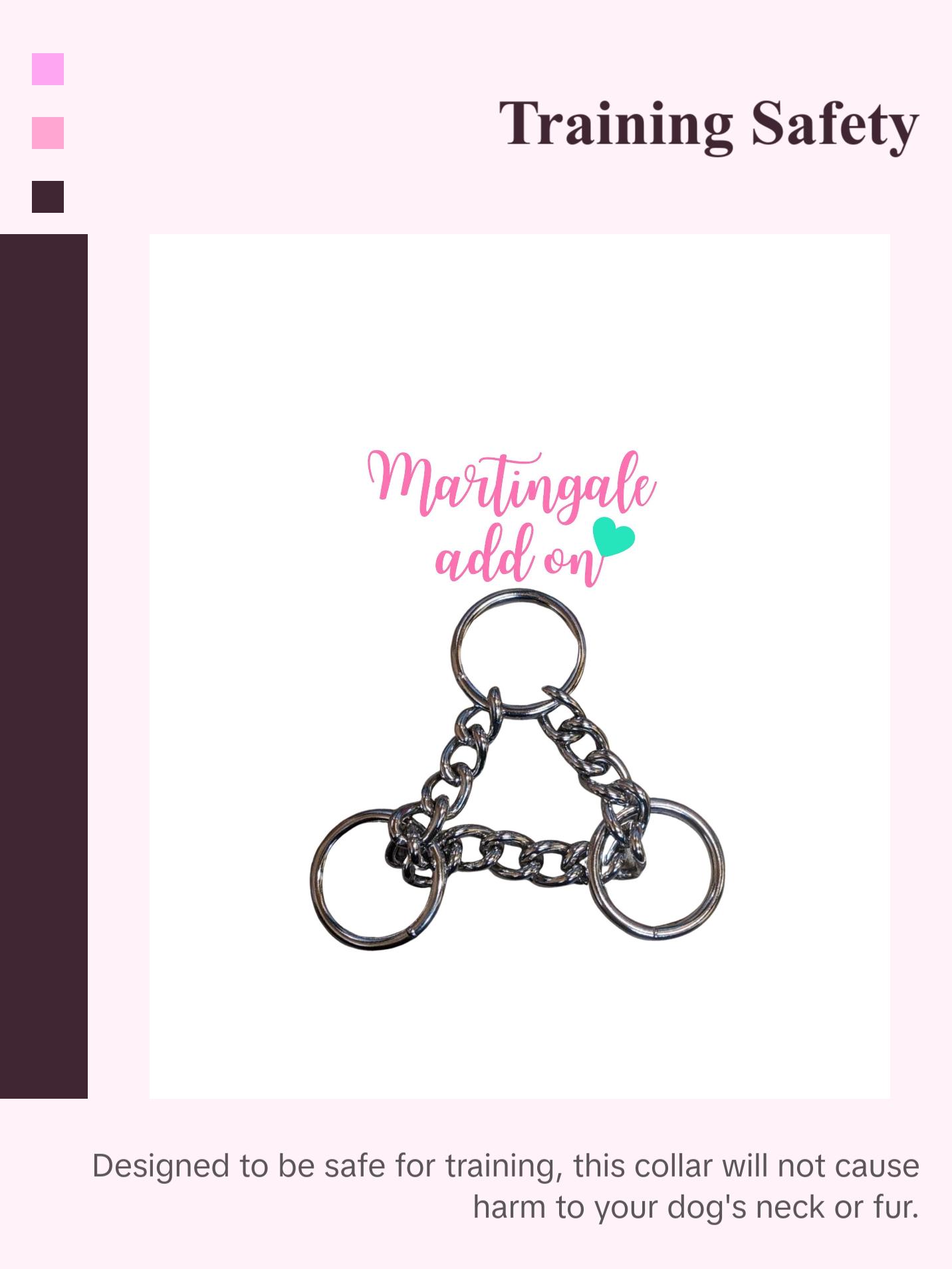 Martingale Collar Upgrade | Half Check Chain | Add on Only | Rainbow or Silver | Leash Training & Obedience | For Medium to Large Dogs