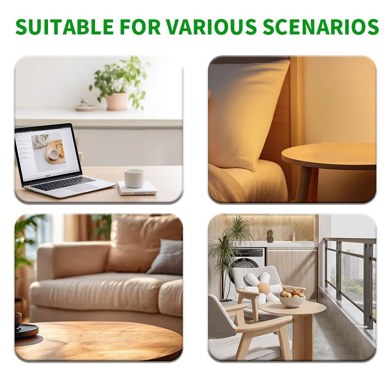 Lucky Brazilian Wood Potted Plant – Mini Brazil Wood for Hydroponics, 2025 New Desktop Decor with Plastic Tray Gift Ornaments