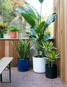 Solid Goods Planter with Saucer