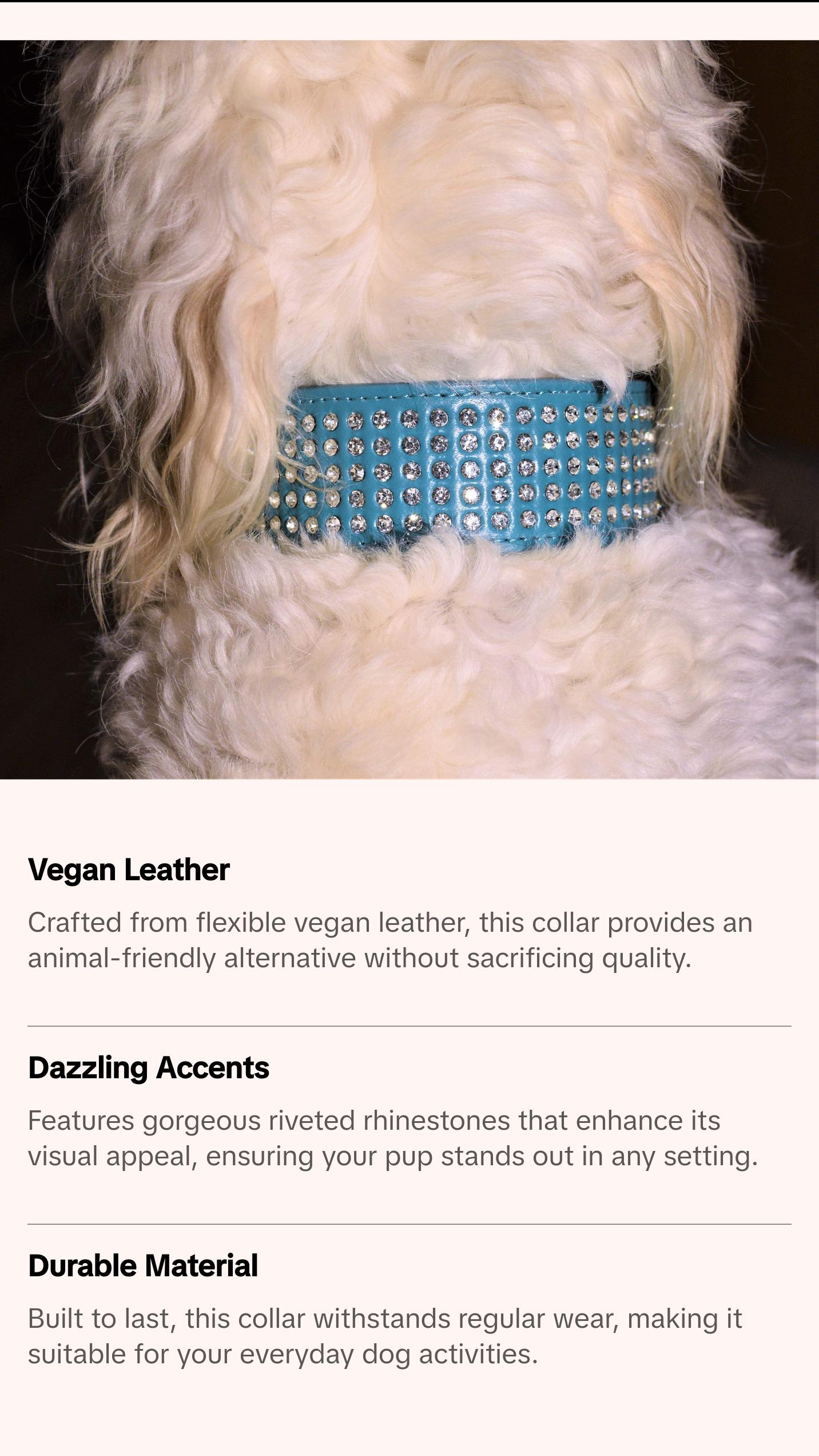 Teal Dog Collar