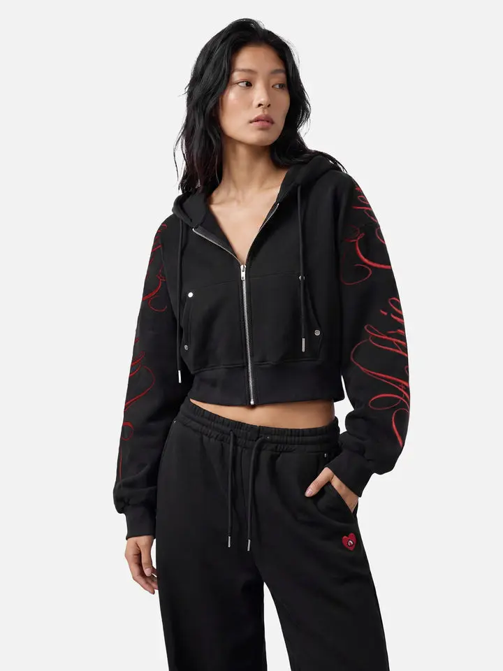 Aelfric Eden Cropped Script Embroidery Zip Up Hoodie Script Embroidery Relaxed Boxy Cropped Silhouette Structure Metal Rivet Pocket Detail Heavyweight Soft Fabric Vintage Gothic Streetwear Unisex Top,clothes for back to school,first day of school outfits