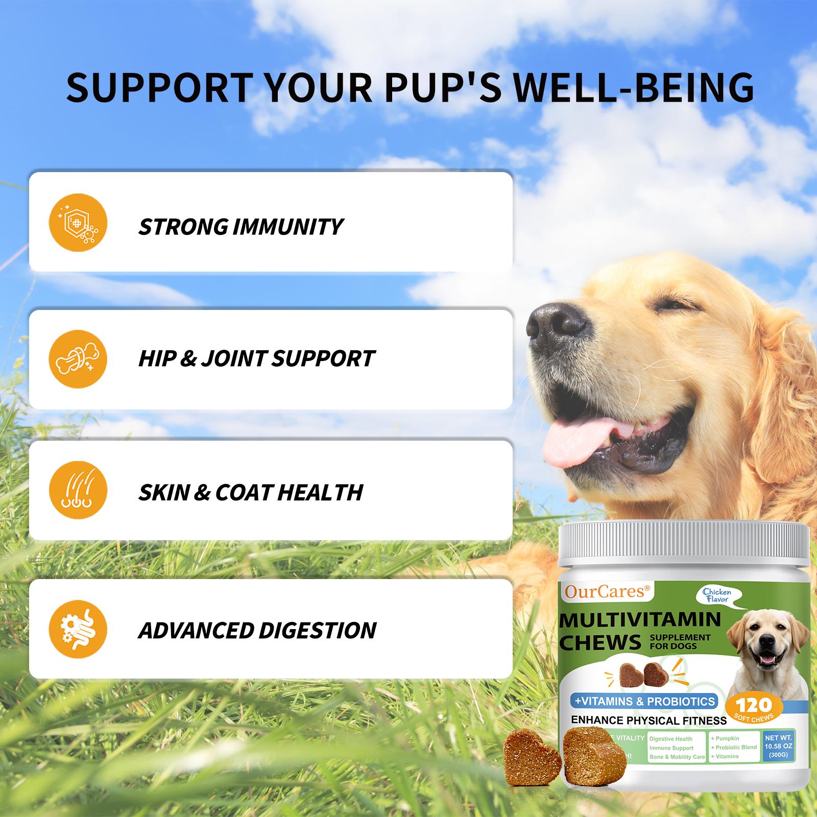 OurCares Dog Multivitamin Supplements 120 Count Dog Multivitamin Chewable  Immune Joint Support Skin Gut Health Glucosamine & Probiotics - Safe for Senior & Puppy Multivitamin - Chicken Flavor Pet Daily Chews Snacks