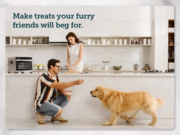 COSORI Food Dehydrator for Jerky, 600W, 6 Stainless Steel Trays, 48H Timer, 165°F Control, 6.48ft² Drying Space, Herbs, Meat, Fruit, and Yogurt