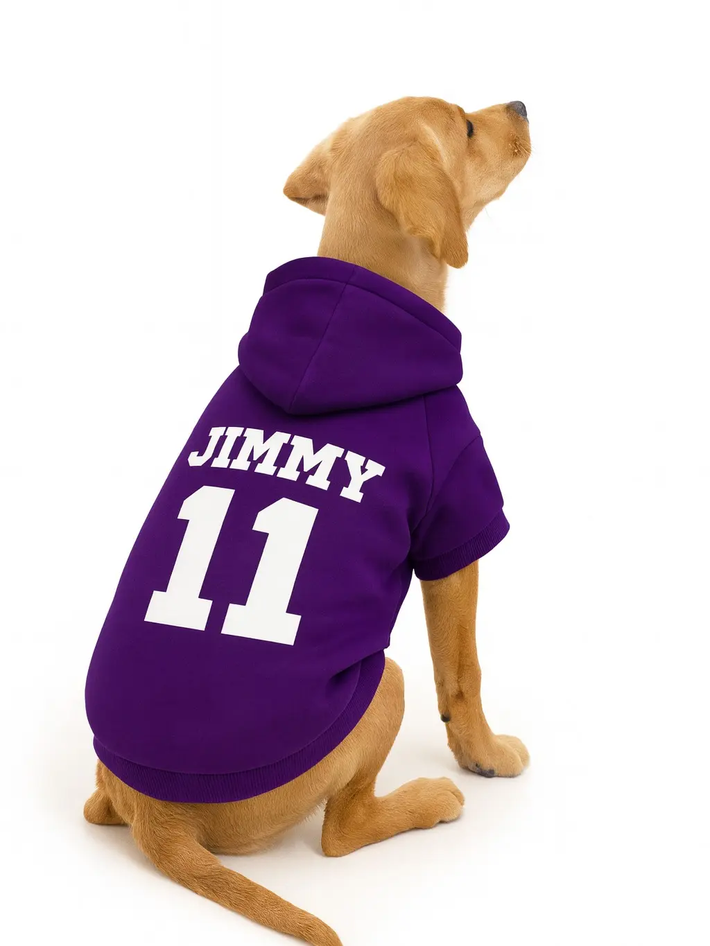 Personalized Jersey-Style 1-Piece Pet Pullover Hoodie - Custom Name & Number, 50/50 Poly-Cotton Blend Fabric, Warm, Easy Care (Machine Wash Inside Out), Dog & Cat Sweater, Unique Gift for Daily Walks, Family Photos, One-Piece