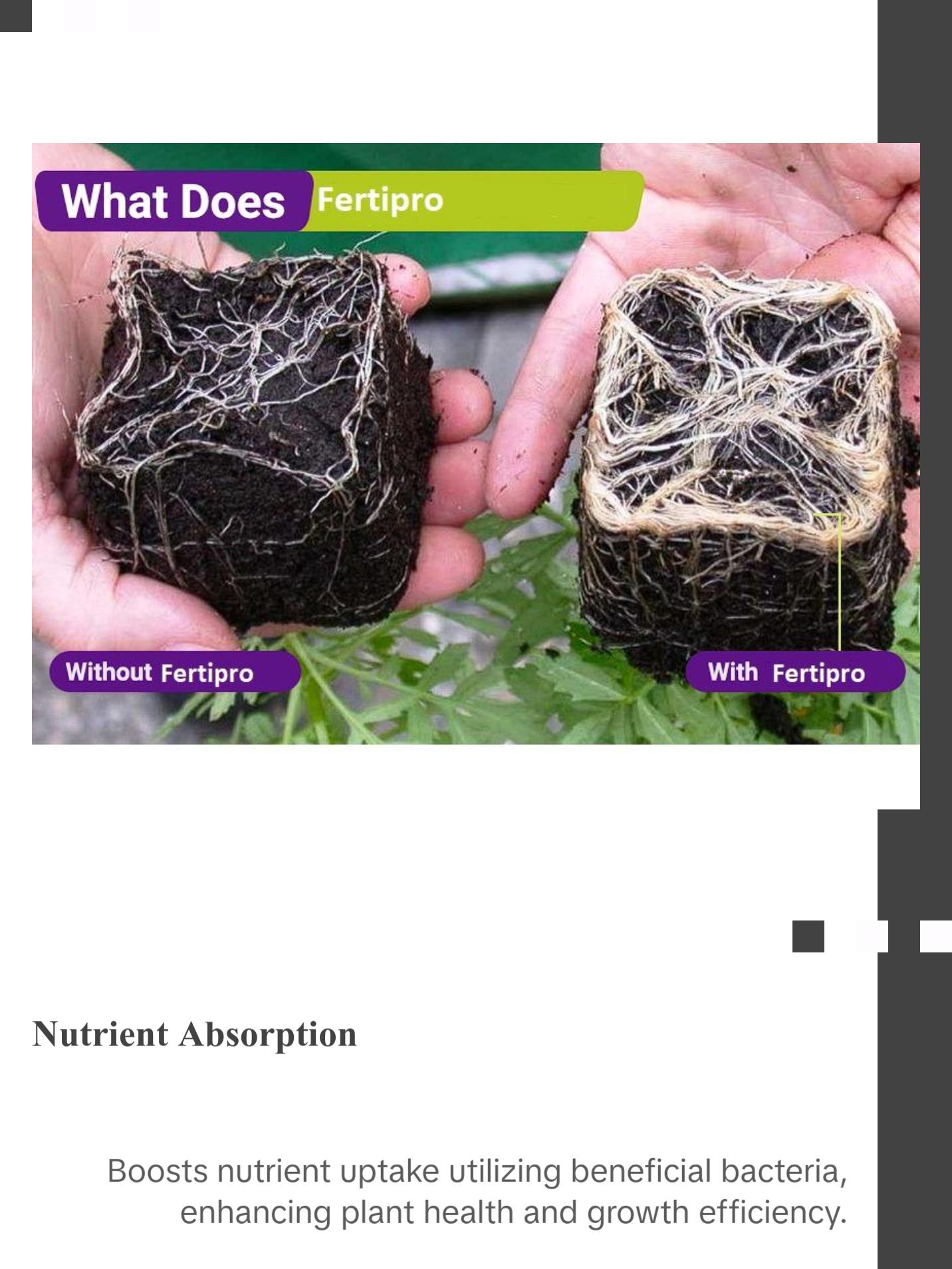 BioPro Solution FertiPro, bacterial supplement to promote healthy plants growth naturally