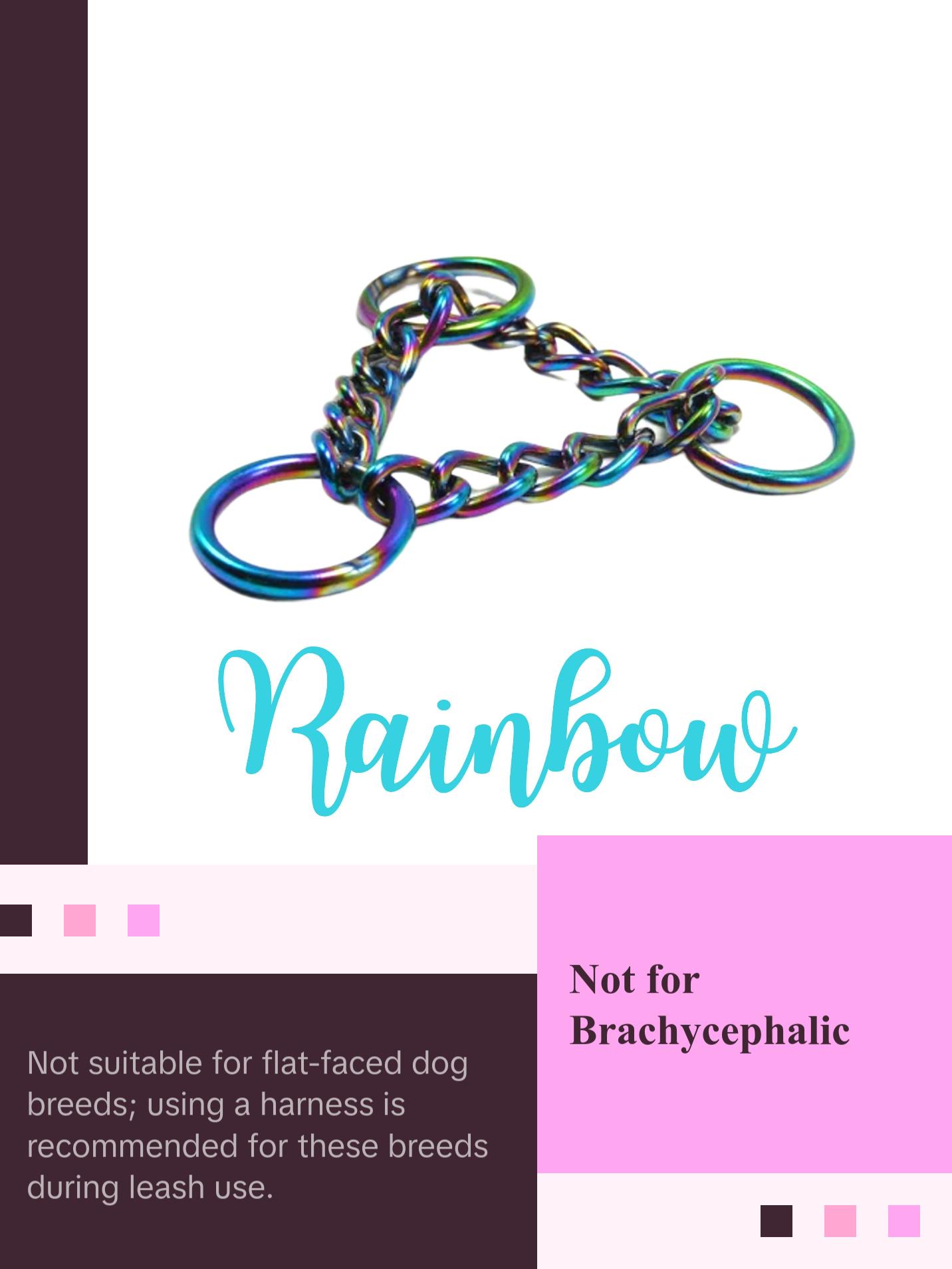 Martingale Collar Upgrade | Half Check Chain | Add on Only | Rainbow or Silver | Leash Training & Obedience | For Medium to Large Dogs Martingale Collar Upgrade | Half Check Chain | Add on Only | Rainbow or Silver | Leash Training & Obedience | For Medium to Large Dogs