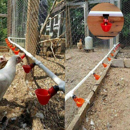 Fully Automatic Poultry Drinking Cups, Plastic Drinkers for Chickens, Hens, and Quails, Chicken Drinking Cups/Poultry Waterers