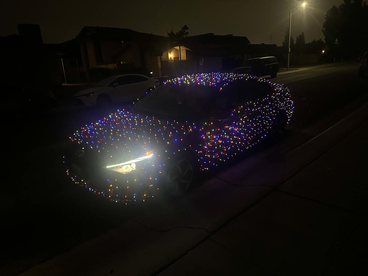 Item: Pointed – Multicolor