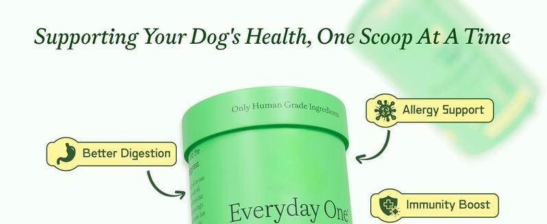 Everyday - Clean Dog Multivitamin Supplement | 45 Active Ingredients for Hip & Joint Support, Gut & Immune Support and Skin & Seasonal Allergy Support - 60 Scoops Bacon & Pumpkin Flavor Probiotics Natural Supplies