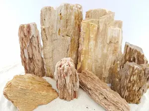 Burma Petrified Stone 25 Gallon Kit-Approximately 1-Large/2-Medium/6-Small Rocks