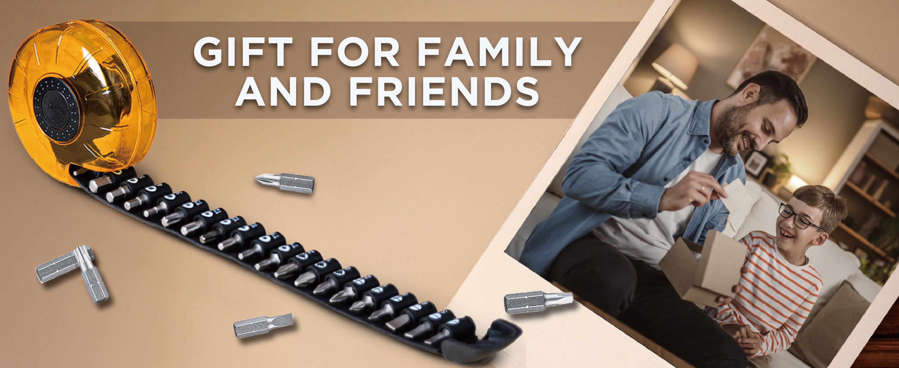 toolant 20 Pcs Screwdriver Bits Set, Hex, Torx, Square, Slotted, Phillips, Pozi Bits Set, CV-R Steel, Tapeline Bits Holder, Easy Carry, Perfect Gift