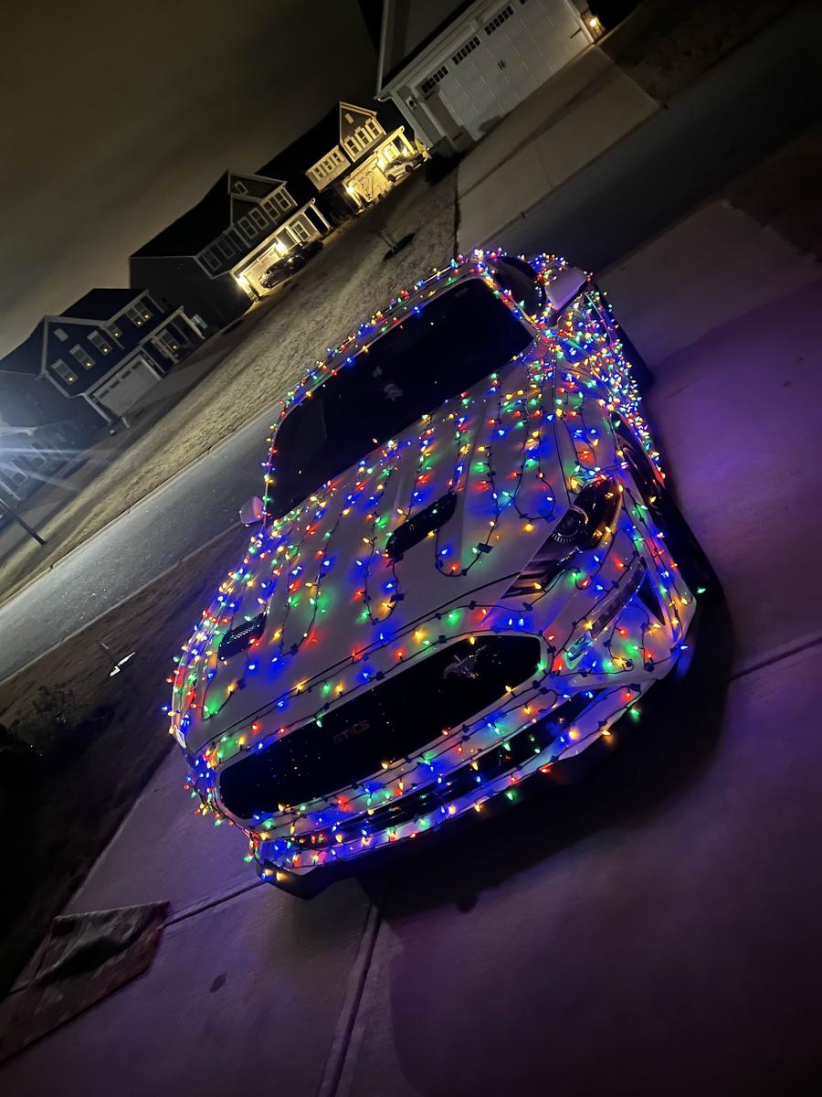 Item: Pointed – Multicolor