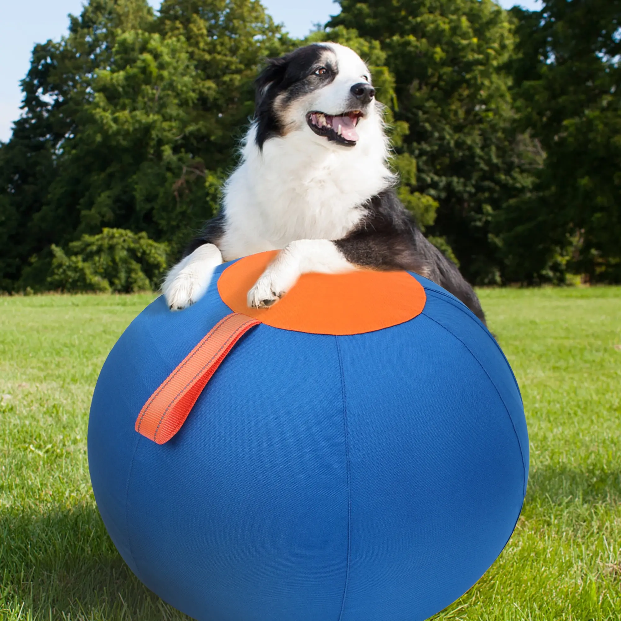 Dog Walking Interactive Pet Toy Ball, Non-Electric Pet Herding Toy, Not Chewable, Includes Air Pump, Model Pd60221, Single Unit