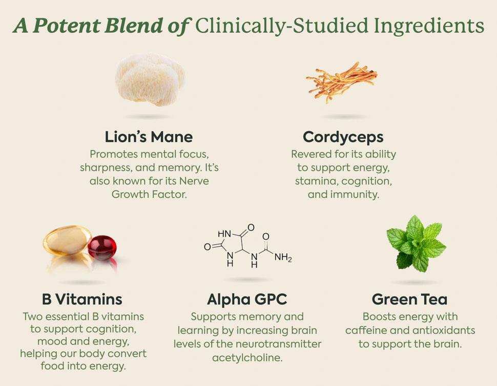 WonderFocus Mushroom Gummies by Plant People - Zero Sugar, All Natural, Focus & Cognition Gummy Supplement - Jitter Free Healthcare Dietary WonderFocus Mushroom Gummies by Plant People - Zero Sugar, All Natural, Focus & Cognition Gummy Supplement - Jitter Free Healthcare Dietary