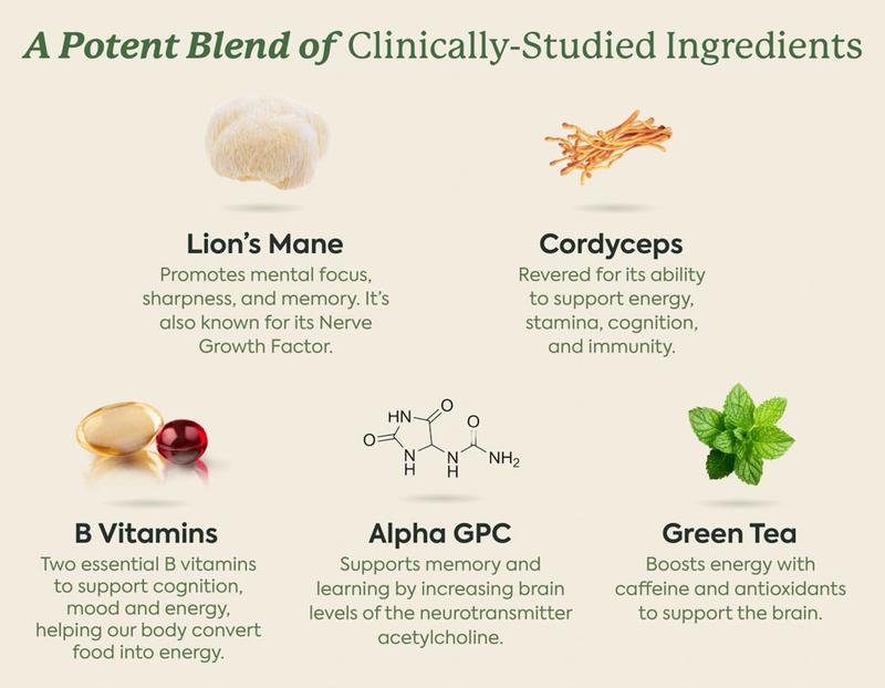 WonderFocus Mushroom Gummies by Plant People - Zero Sugar, All Natural, Focus & Cognition Gummy Supplement - Jitter Free Healthcare Dietary