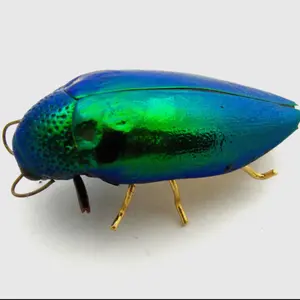 Real Emerald Beetle Pin