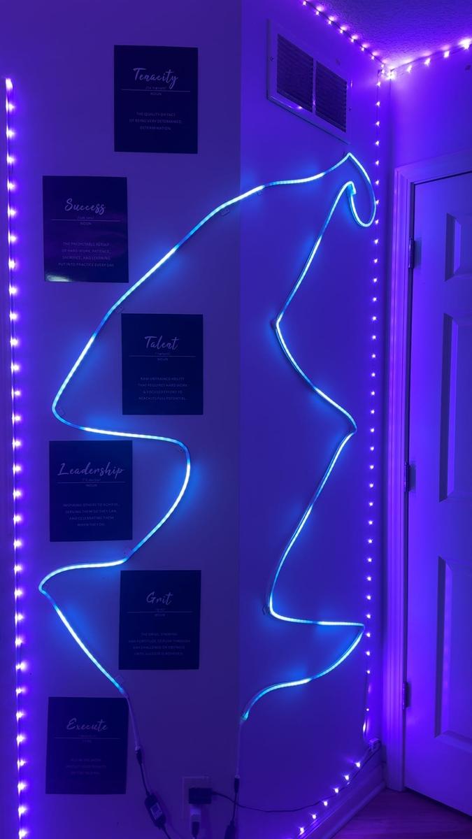 Item: Multicolor, 9.8ft/3M