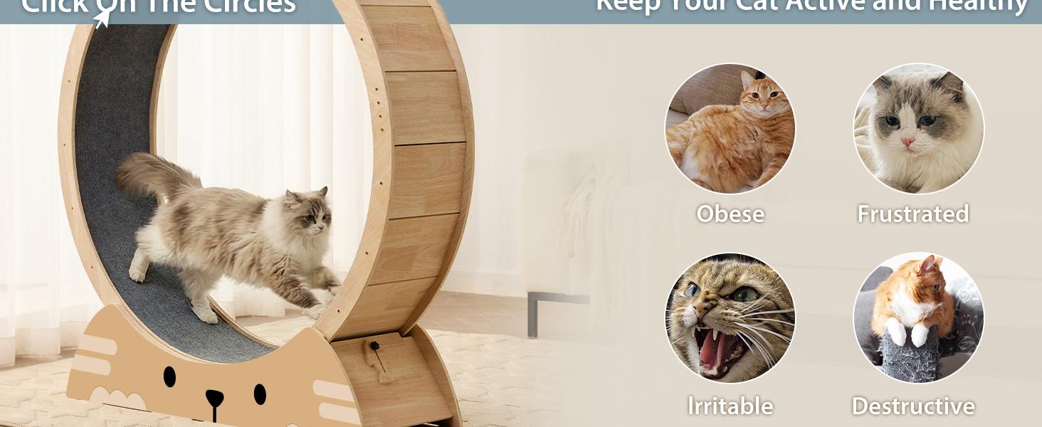 48" Cat Wheels for Indoor Cats, Quiet & Stable Cat Exercise Running Wheel, Cats Treadmill with Anti-Slip Mat