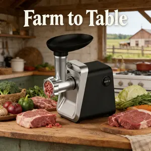 Electric meat grinder, stainless steel meat grinder with one blade and three filters, sausage filling machine, home kitchen chopper, tomato sauce grinder