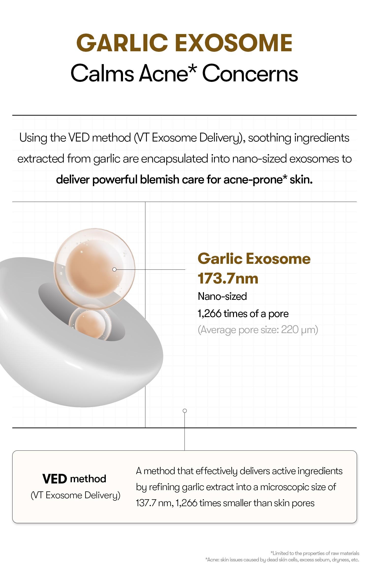 [VT Official] Garlic AC Reedle Shot Gel Cream / Spot Cream / Acne care, Reedle Shot Spot Care & Moisturizer, Garlic Exosome, Soothing & Calming, Blemish Care, Acne prone skin friendly