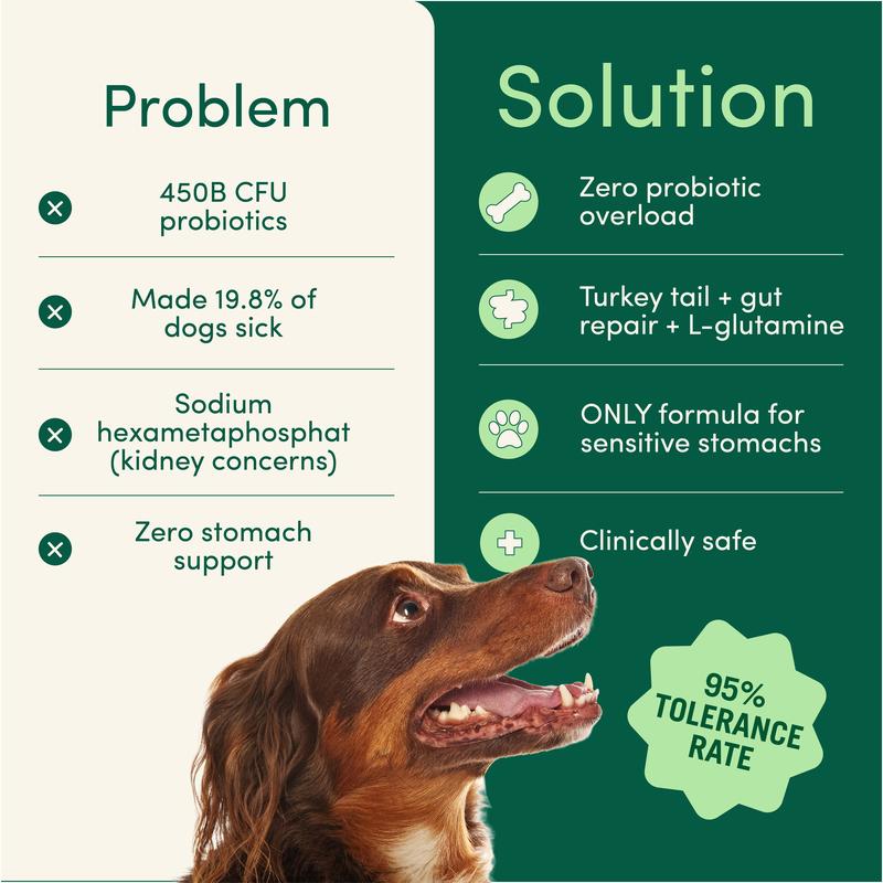 Breath Buddy Dog Dental Powder - Food Topper for Fresh Breath & Clean Teeth - Gentle Formula for Sensitive Stomachs - Bacon Flavor Tartar Plaque Remover - Natural Oral Care for Dogs and Cats