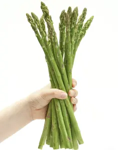 Low-fat, high-fiber asparagus seeds | Perennial and easy to grow | Sow once, harvest for many years