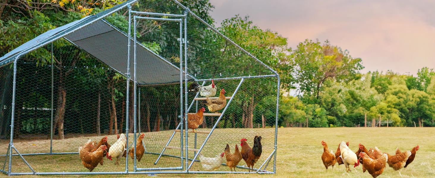 [5-year warranty] PETSFIT Chicken Roosting Bars for Hens with 2 Swings,Chickens Perch for Pet's Healthy and Play,Chicken Coop Accessories for 6-8 Chickens,Easy to Assemble and Clean