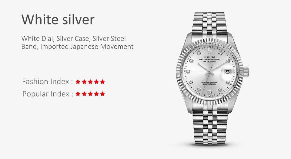 BUREI Men's Luxury Automatic Watch Two Tones Stainless Steel Dress Wrist Watches Self-Winding