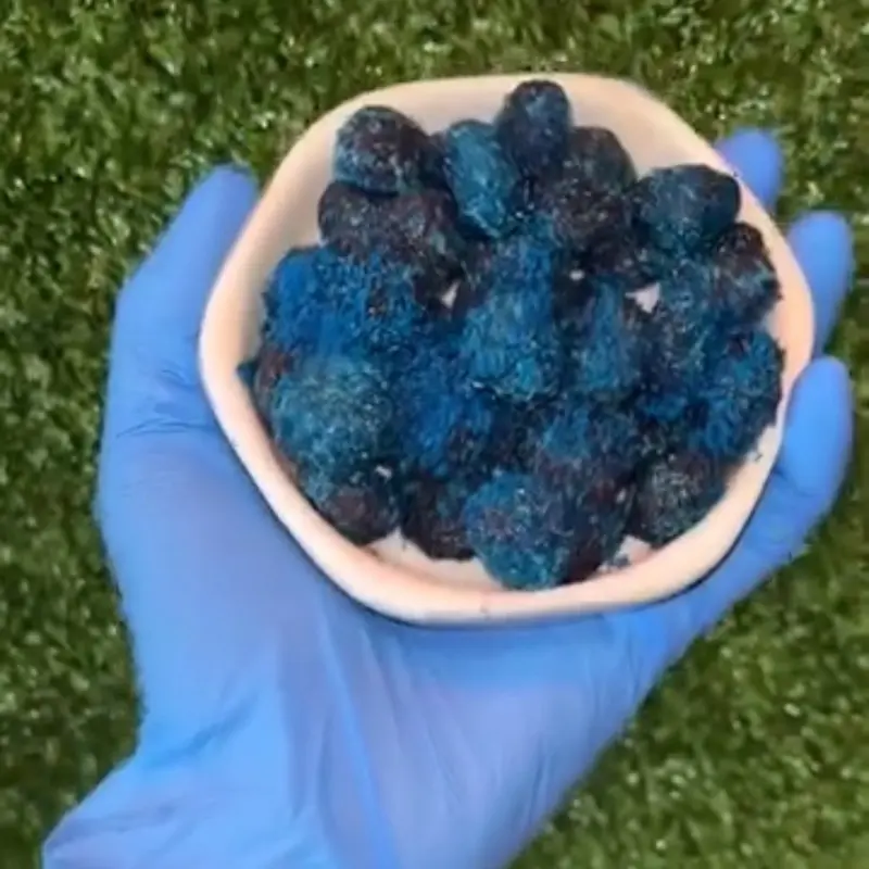 Sour Blue Raspberry Gushers - Refreshing Blue Raspberry Flavor Gushers for a Sour Tangy Snack